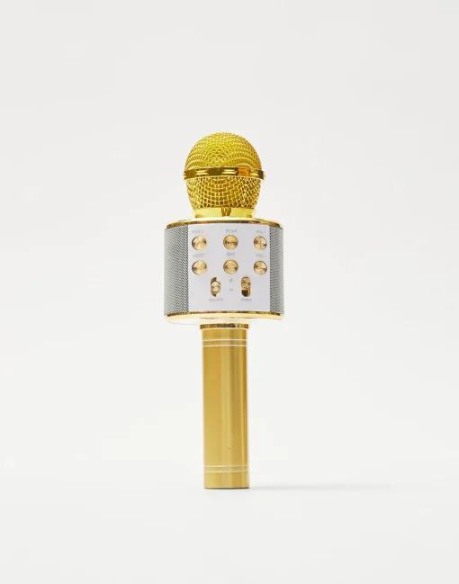 Microfono Karaoke